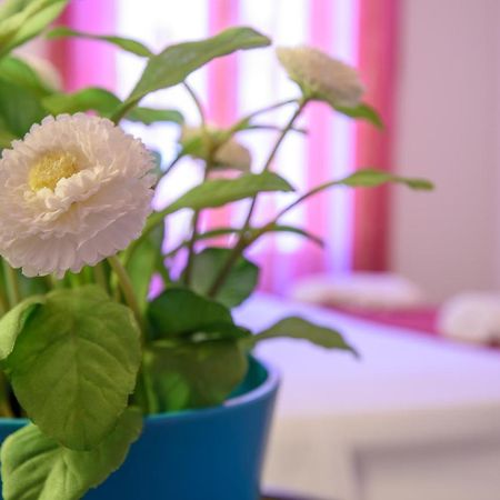 Housestation باليرمو المظهر الخارجي الصورة